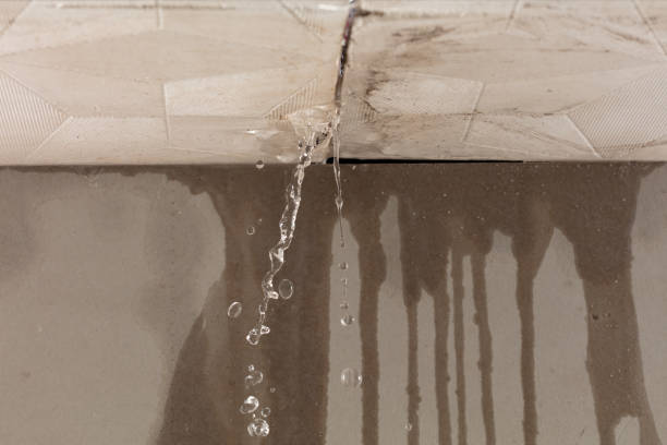 Professional Structural Drying technician working in Plain City, OH